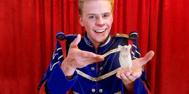 circus dimi